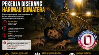 jerita-malam-pesca-di-siak-pekerja-diserang-harimau-sumatera