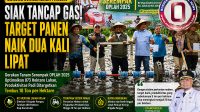 siak-swasembada-beras-2026