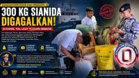 sianida-sabuk-nusantara