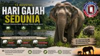 hari-gajah-sedunia-2026