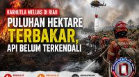 karhutla-melus-di-riau