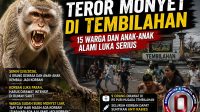 monyet-teror-inhil