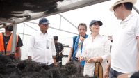 rumput-laut-sidoarjo-kkp