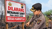 lahan-bekas-karhutla-ditanam-sawit